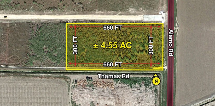 Land for Sale in Alamo Texas 78516